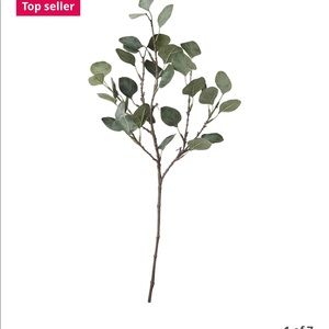IKEA eucalyptus stems x2